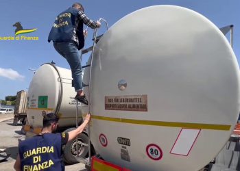 Gdf Palermo, sequestrato container con 30 tonnellate di olio d'oliva con falsa indicazione qualitativa