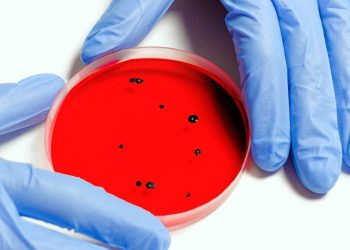 Cos'è la malattia mangiacarne e quali sono i sintomi? Ecco tutto quello che c'è da sapere