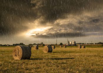 Modica, maltempo distrugge grano e fino: ultimi giorni per domanda ristori
