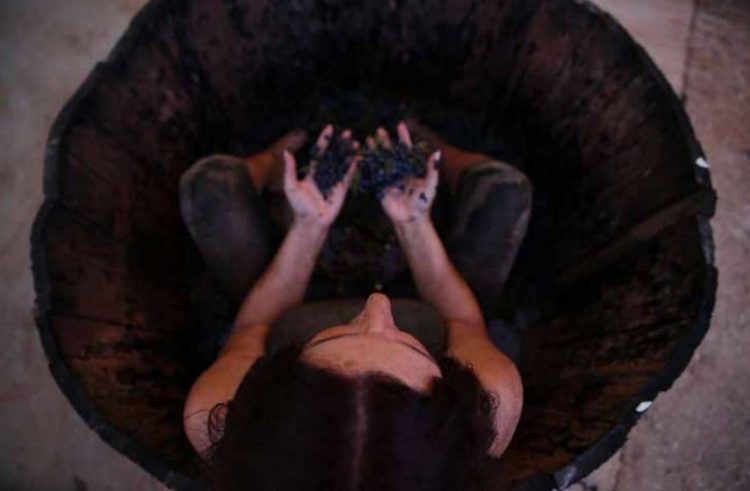 Magna Grecia nel tempo. Forum di archeologia e arte a Comiso, Camarina, Gela, Agrigento, Siracusa e Palazzolo Acreide