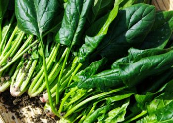 Diabete: cosa mangiare per abbassarlo