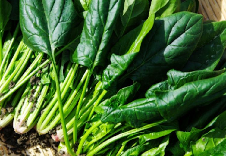 Dieta in menopausa: scopri cosa mangiare per sentirti al meglio