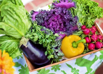 Dieta Gaps: cos'è, a che cosa serve e cosa mangiare