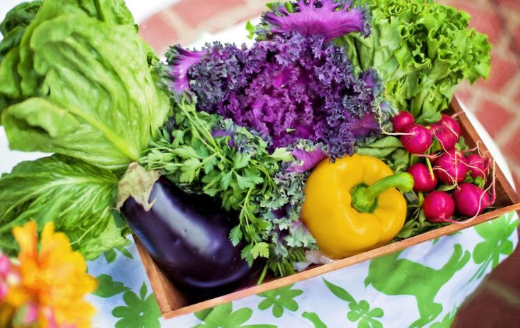 Dieta Gaps: cos'è, a che cosa serve e cosa mangiare