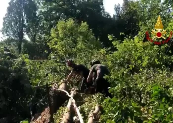 Emergenza maltempo in Veneto, Zaia “110 feriti”