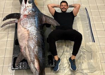 Pesce spada da record pescato nel mare di Scoglitti: lungo 3 metri e pesa 200 kg
