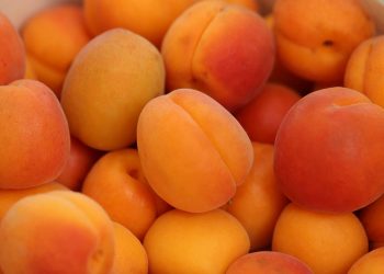 Le albicocche fanno ingrassare? Scopri la verità