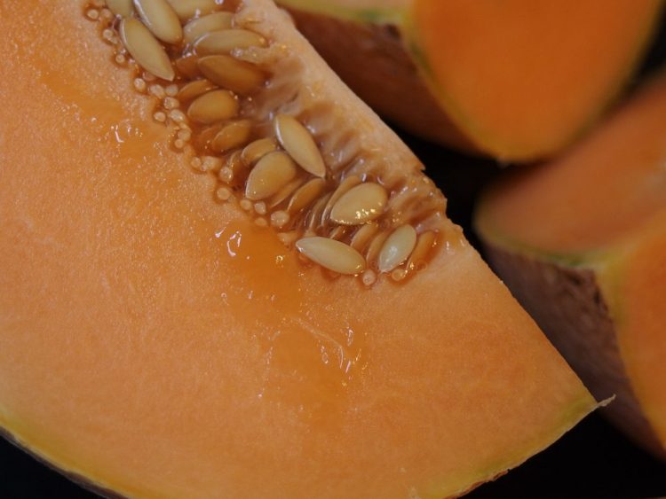 Il cantalupo fa ingrassare? Scopri la verità