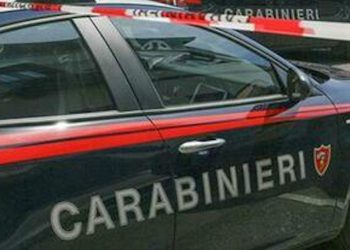 L'unico indizio è una collanina d'argento al collo. Una collanina sottile, semplice, senza ciondoli o lavorazioni particolari. E forse è anche da questo elemento, seppur scarno, che si cercherà di risalire all'identità dei resti trovati alla periferia di Roma, in un canale di scolo in via Ettore Fieramosca a Casalbertone. Uno scheletro affiorato durante dei lavori stradali, sepolto tra la vegetazione incolta di una zona appartata di un parco periferico. Un'area poco frequentata, nascosta e spesso ritrovo e giaciglio di senzatetto: forse anche questo non ha permesso che i resti fossero subito scoperti. A trovare lo scheletro sono stati degli operai che hanno allertato i Carabinieri. Attorno ai resti brandelli di stoffa sbiadita, un tempo si suppone capi di vestiario, e una parte della cinghia di uno zaino. Dall'esame delle dimensioni e della conformazione del cranio si arrivati a circoscrivere l'età con approssimazione e il sesso: si tratterebbe di una donna di circa 30 anni. A cercare di dipanare la matassa del giallo i carabinieri che stanno ora incrociando i profili fisici e anagrafici desunti dallo scheletro con quelli contenuti nella banca dati delle persone scomparse circa un anno fa: dai primi rilievi sui resti infatti sembra che lo scheletro stesse lì da almeno un anno-un anno e mezzo. Per questo si scandagliano tutte le denunce di scomparsa avvenute in quel periodo.