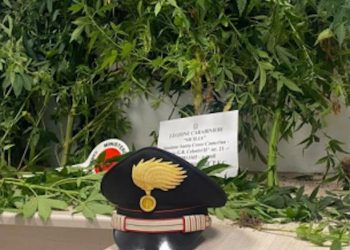 I carabinieri della Stazione di Santa Croce Camerina hanno arrestato 66enne: coltivava nella propria abitazione piante di cannabis