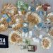 Nascondeva 75 mila euro e mezzo chilo di cocaina: arrestato