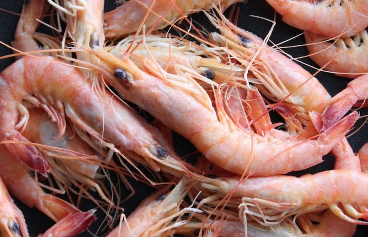 Unci AgroAlimentare: Ue distrugge pesca italiana, dalle tavole scompariranno gamberi, scampi, triglie e naselli