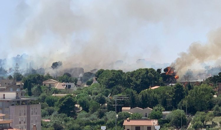 Vasto incendio a Modica, bruciano enormi alberi di Pino