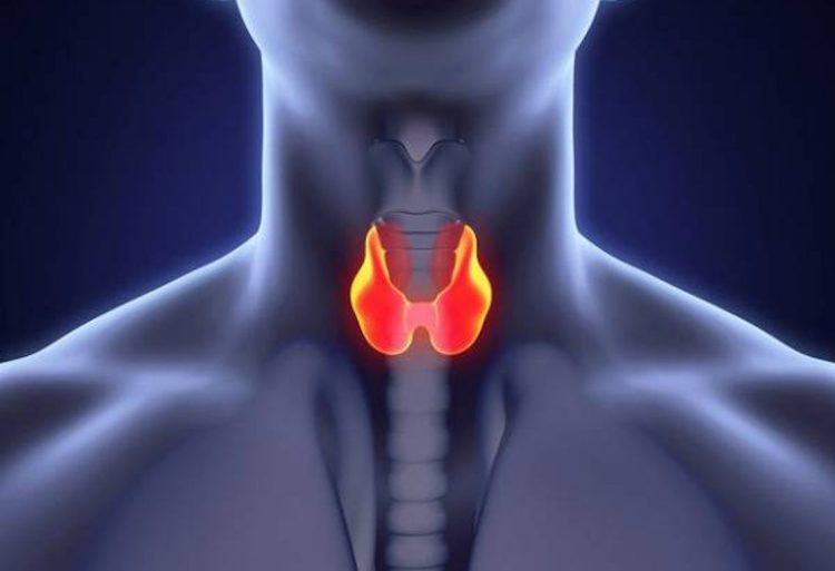 Ipertiroidismo: cos'è e sintomi