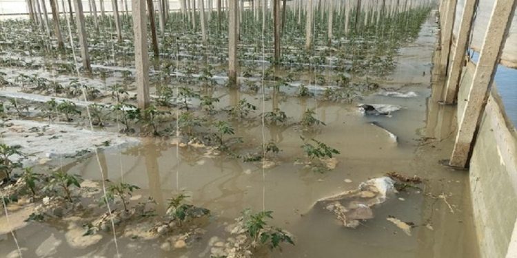Maltempo in Sicilia orientale: Governo stanzia 9 milioni di euro per Ragusa, Siracusa, Catania e Messina