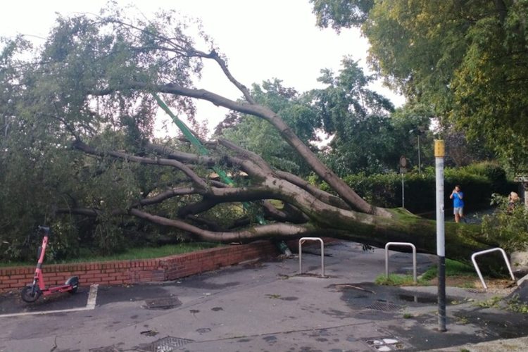 Maltempo, 16enne in campo scout muore travolta da un albero