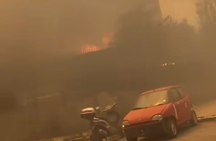 Brucia la Sicilia, incendi a Palermo: urla di paura VIDEO impressionante