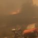 Brucia la Sicilia, incendi a Palermo: urla di paura VIDEO impressionante