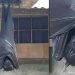 La foto del pipistrello gigante che sta facendo il giro del mondo e spaventa il web: ecco cos'è