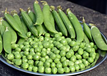 I piselli fanno ingrassare? Ecco i benefici per la salute
