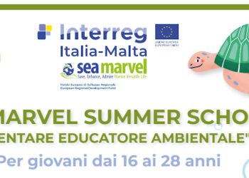 Università di Catania promuove una Summer School per educatori ambientali: corso gratuito