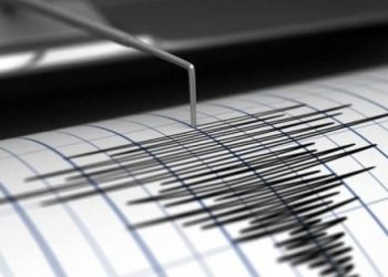 Una scossa di terremoto di magnitudo 2.9 è stata registrata ieri sera alle ore 19,42 nella zona del Mar Ionio Meridionale.