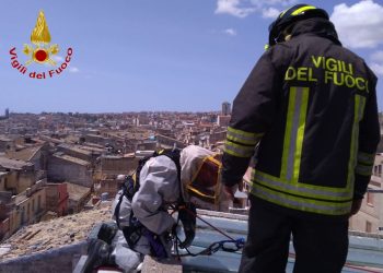 Ragusa, vigili del fuoco si calano dal tetto per bonifica nido di api