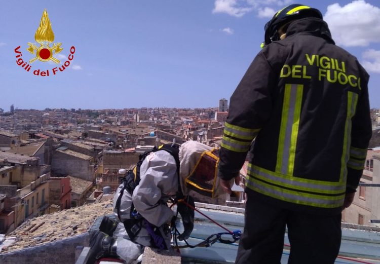 Ragusa, vigili del fuoco si calano dal tetto per bonifica nido di api