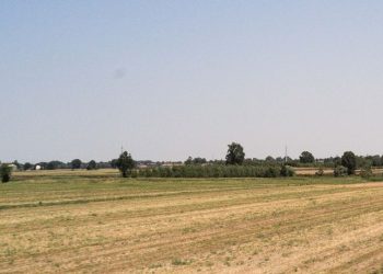 La Lituania offre un nuovo accesso per esportare il grano dall’Ucraina