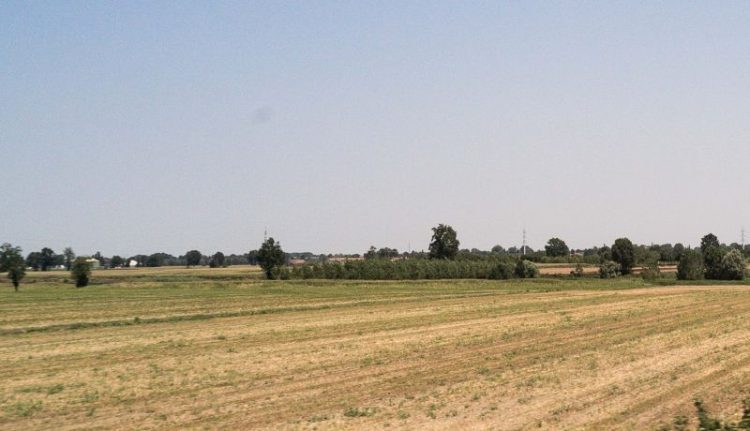 Lituania offre nuovo accesso per esportare il grano dall’Ucraina