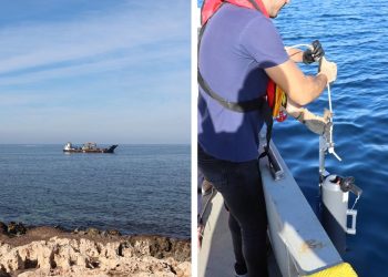 Malta-Sicilia, II interconnettore elettrico non danneggerà vita marina