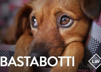 Lav Iblea: bastabotti e maggiore attenzione per anziani e bambini