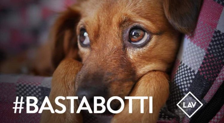 Lav Iblea: bastabotti e maggiore attenzione per anziani e bambini