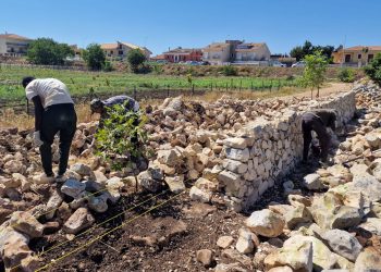 Muro a secco: la ricostruzione agli orti di Ragusa