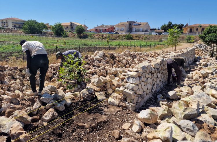 Muro a secco: la ricostruzione agli orti di Ragusa