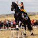 Fiera di San Bartolomeo a Giarratana, successo di presenze e straordinario spettacolo equestre