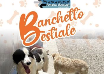 Pensieri bestiali: uno stand alla fiera di San Giovanni a Ragusa