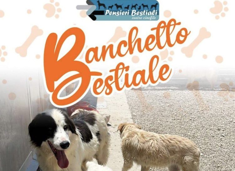 Pensieri bestiali: uno stand alla fiera di San Giovanni a Ragusa