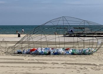 Balena mangia plastica a Scoglitti