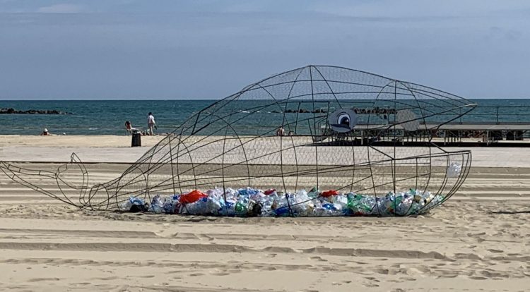 Balena mangia plastica a Scoglitti