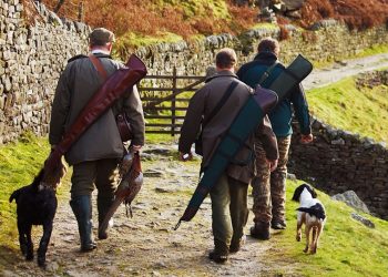 Modica, dove ritirare i tesserini venatori e orari