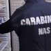 Controlli nei lidi balneari di Scicli: sequestro di 95 kg di alimenti e lavoratori irregolari