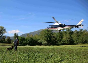 Uccide il padre e un amico: caccia all'uomo nei boschi del Cuneese