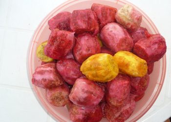 Mangiare fichi d'india fa bene alla salute? I benefici che pochi conoscono