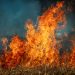 Ha appiccato incendio al Pisciotto: denunciato un modicano