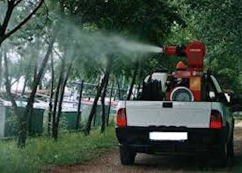 Disinfestazione a Ragusa: i giorni e le zone