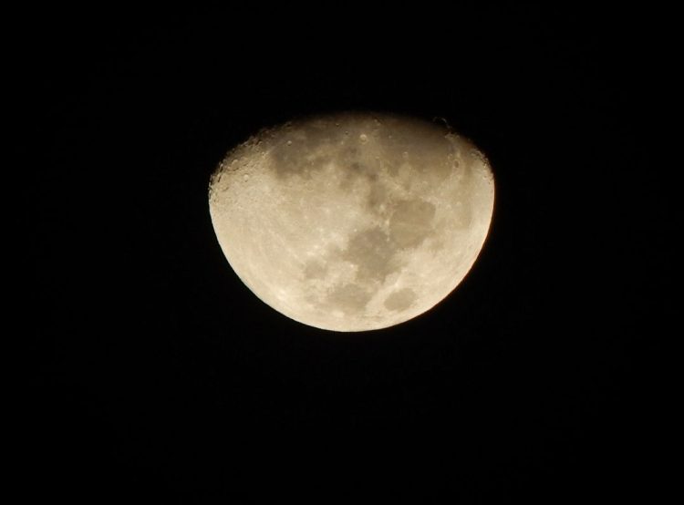 Cosa si può fare con la Luna calante? I consigli per la vita quotidiana