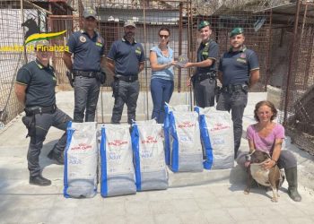 Gdf Palermo: devoluti 200 kg di mangime a canili in difficoltà