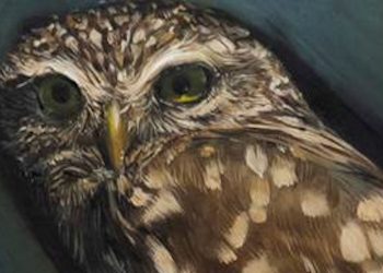 Tutto quello che accade a Ragusa Ibla, a settembre la personale di Giovanni Blanco