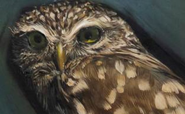 Tutto quello che accade a Ragusa Ibla, a settembre la personale di Giovanni Blanco